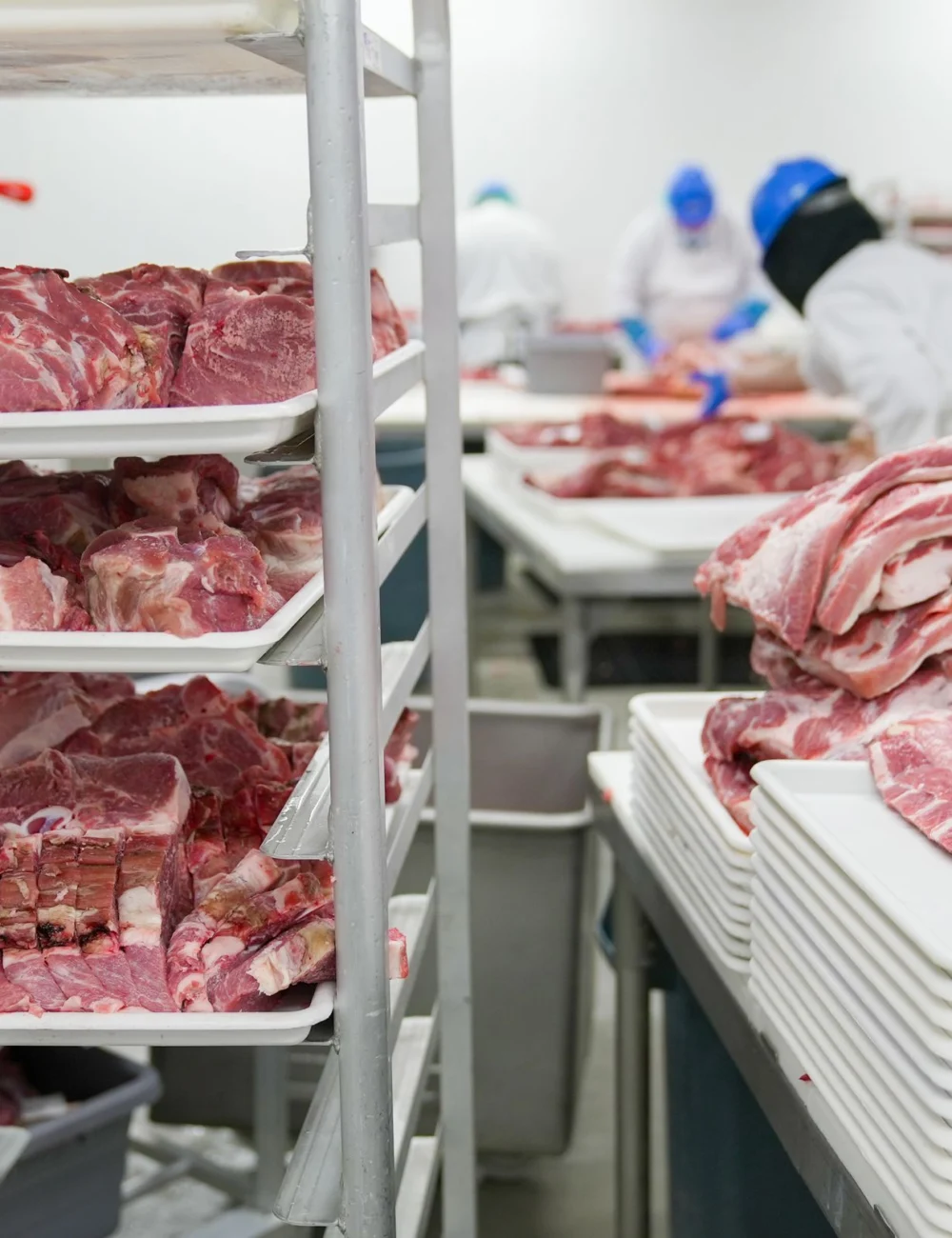 Racks of meat cuts on trays in a meat processing facility while workers in hairnets work the line behind them